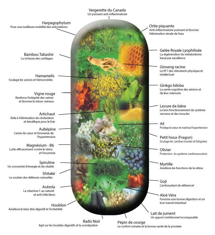 Compléments Alimentaires 100% Naturels Phytothérapie et Apithérapie