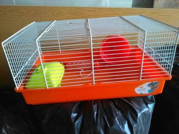 CAGE A HAMSTER