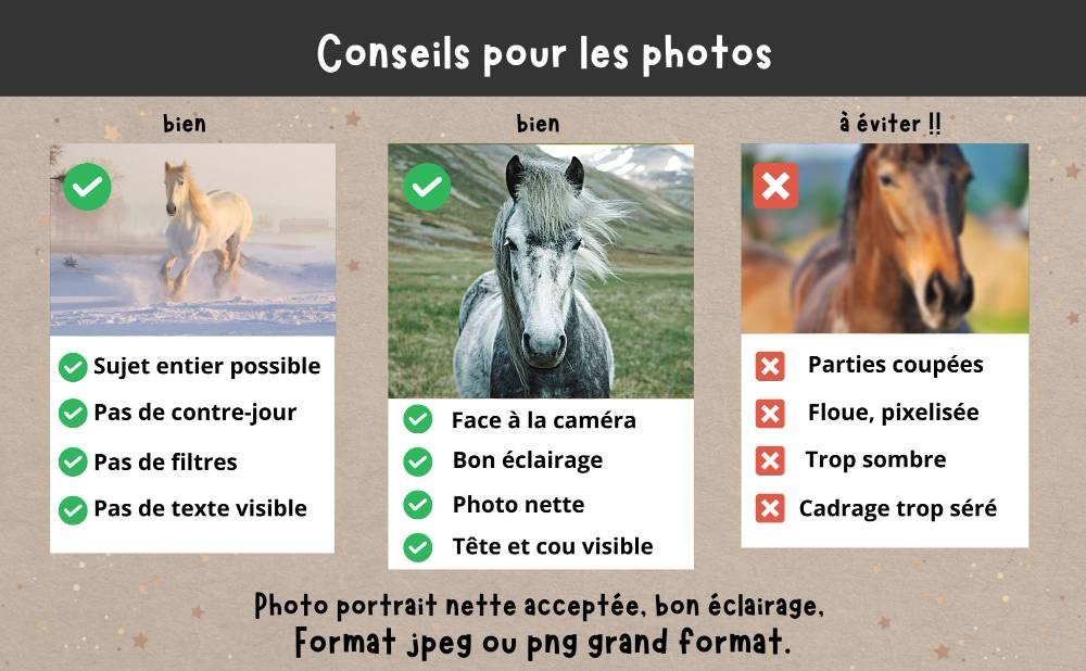 Plaque de box cheval, poney, personnalisable, personnalisé photo et texte